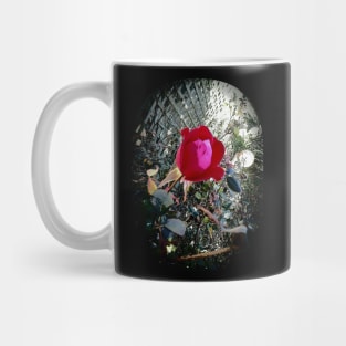 A Kiss from a Rose Mug